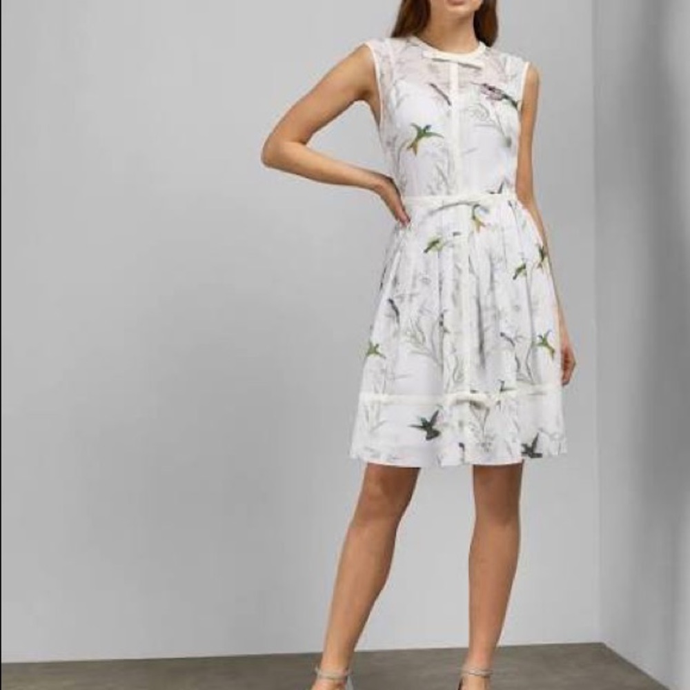 Ted Baker Aleksa Fortune Fit & Flare Dress